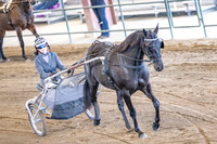 OSB_FallShow-0216
