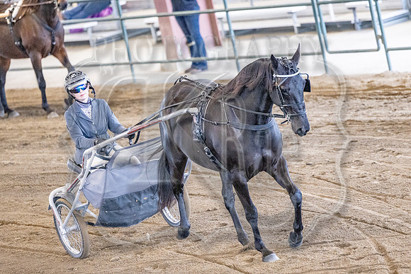 OSB_FallShow-0216