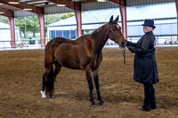 OSB_FallShow-0182