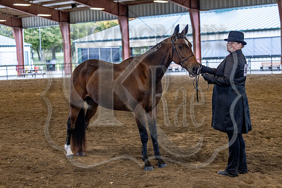 OSB_FallShow-0182