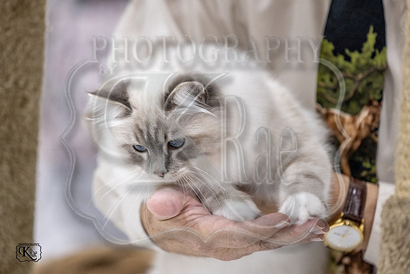 CFA_WLMGTN-0174