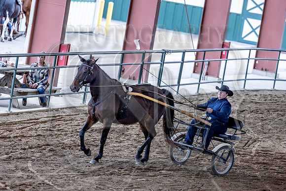 OSB_FallShow-0816