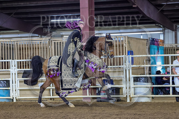 SASS-7453