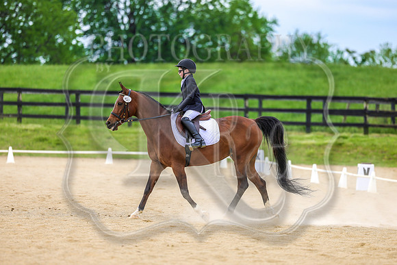 SASS-0761