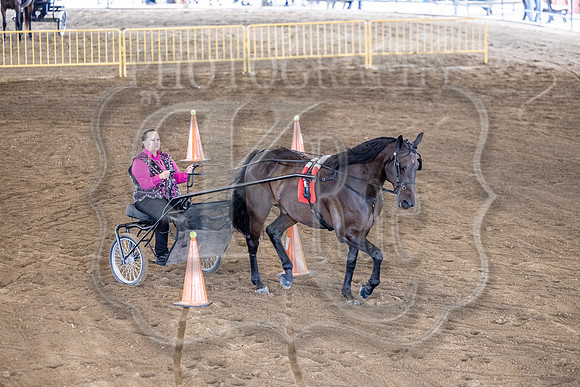 OSB_FallShow-0710