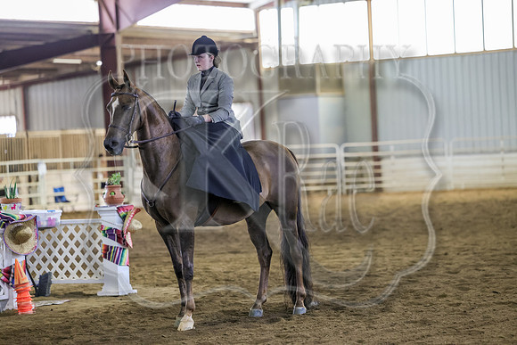 SASS-2681