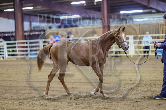 SASS-4940