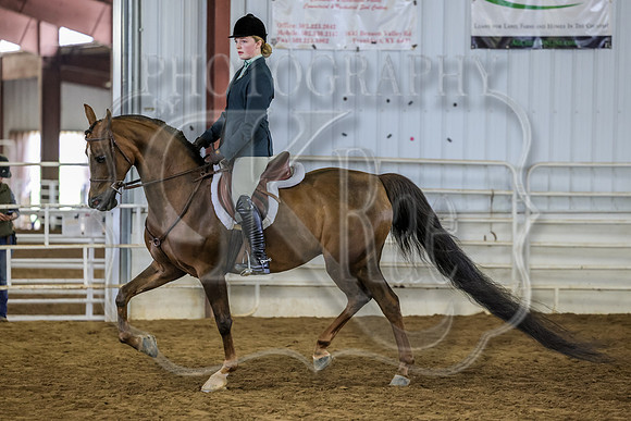 SASS-3303