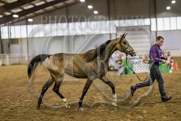 SASS-5112