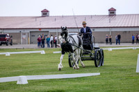 bpk-0081