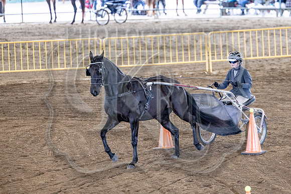 OSB_FallShow-0688