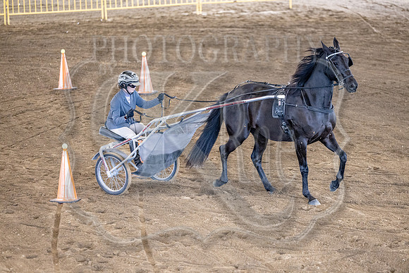 OSB_FallShow-0680