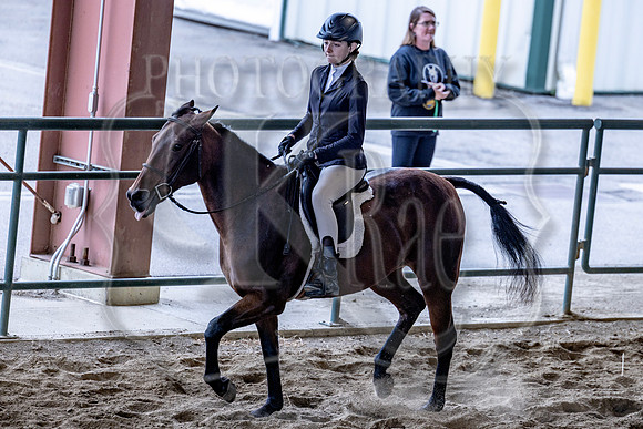OSB_FallShow-3769