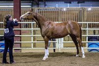 SASS-5142