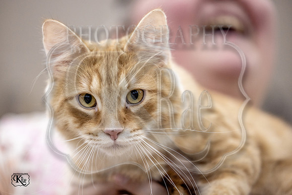 CFA_WLMGTN-0230