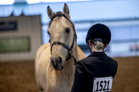 OSB_FallShow-0065