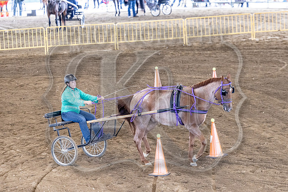 OSB_FallShow-0747