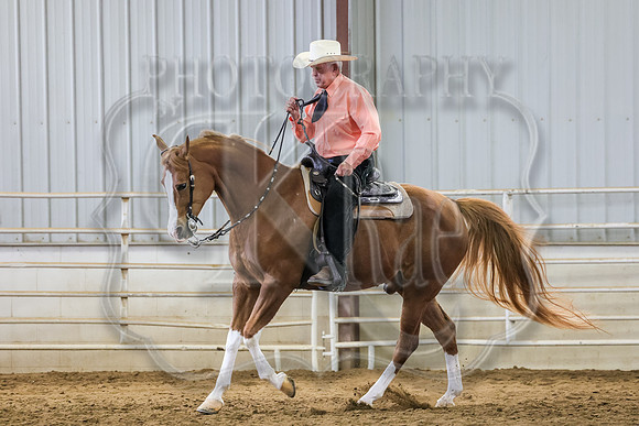 SASS-3048