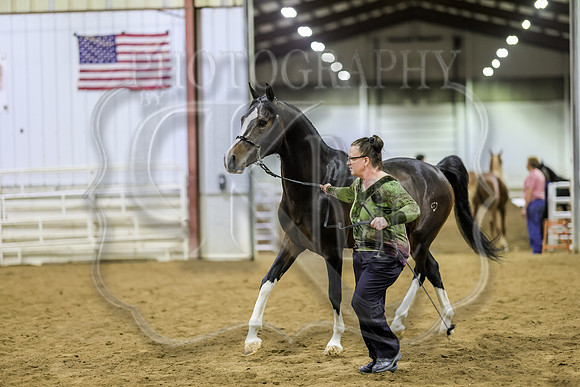 SASS-6764