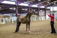 SASS-5125