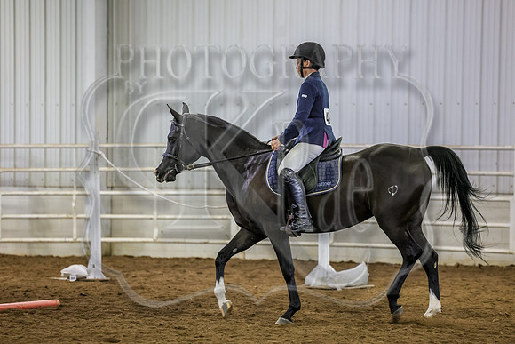 SASS-1251