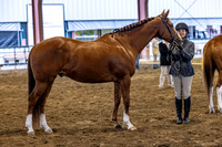 OSB_FallShow-0129