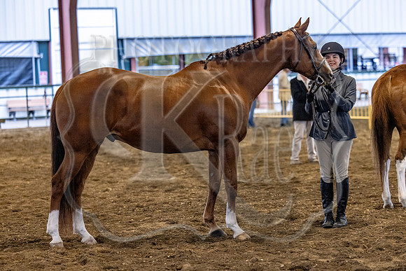 OSB_FallShow-0129