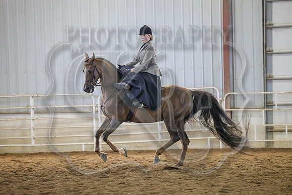 SASS-2641
