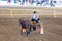 OSB_FallShow-0547