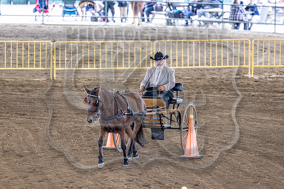 OSB_FallShow-0547