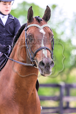 SASS-0789