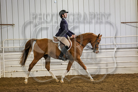SASS-1036