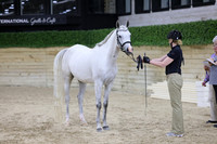BN5A7037