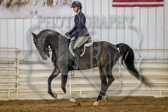 SASS-3325