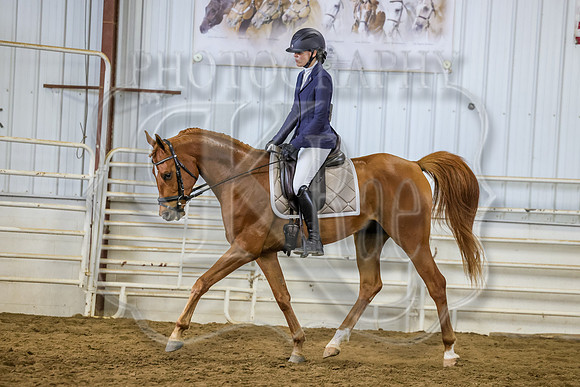 SASS-3877