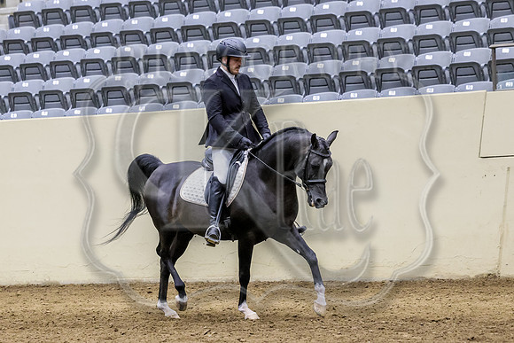 LgcySu-5692