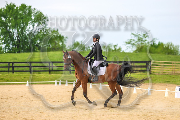SASS-3771