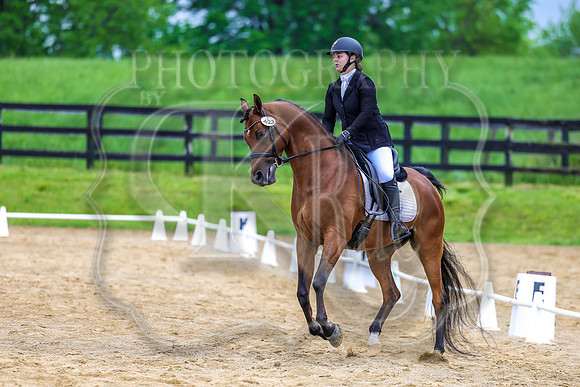 SASS-4062