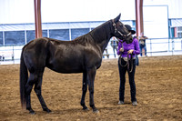 OSB_FallShow-0214