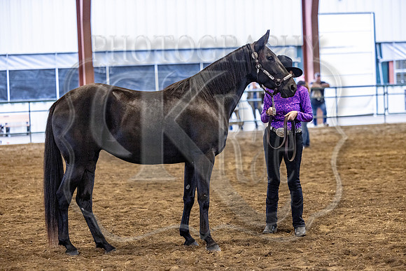 OSB_FallShow-0214