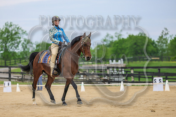 SASS-0873