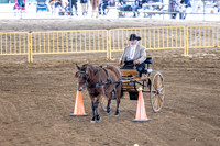 OSB_FallShow-0544