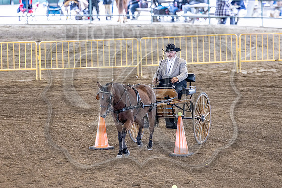 OSB_FallShow-0544