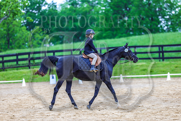 SASS-4397