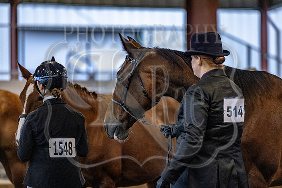 OSB_FallShow-0105