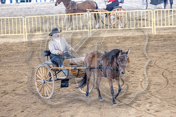 OSB_FallShow-0533