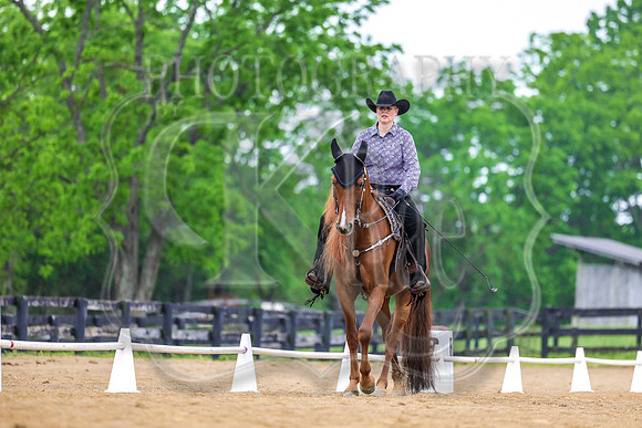 SASS-2976