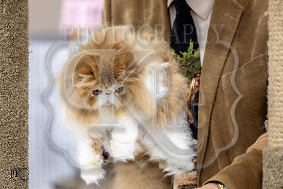 CFA_WLMGTN-0289
