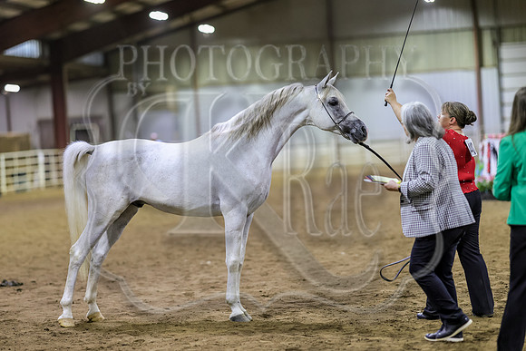 SASS-6434