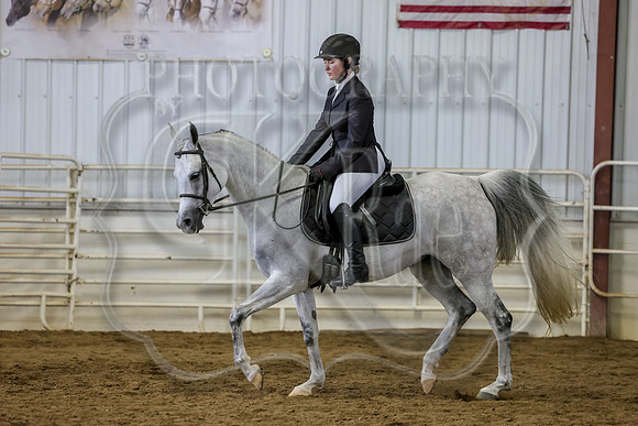 SASS-6010